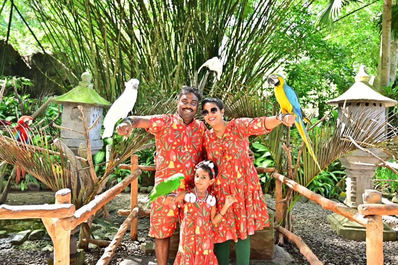 Red Bird Short Family Set photo review